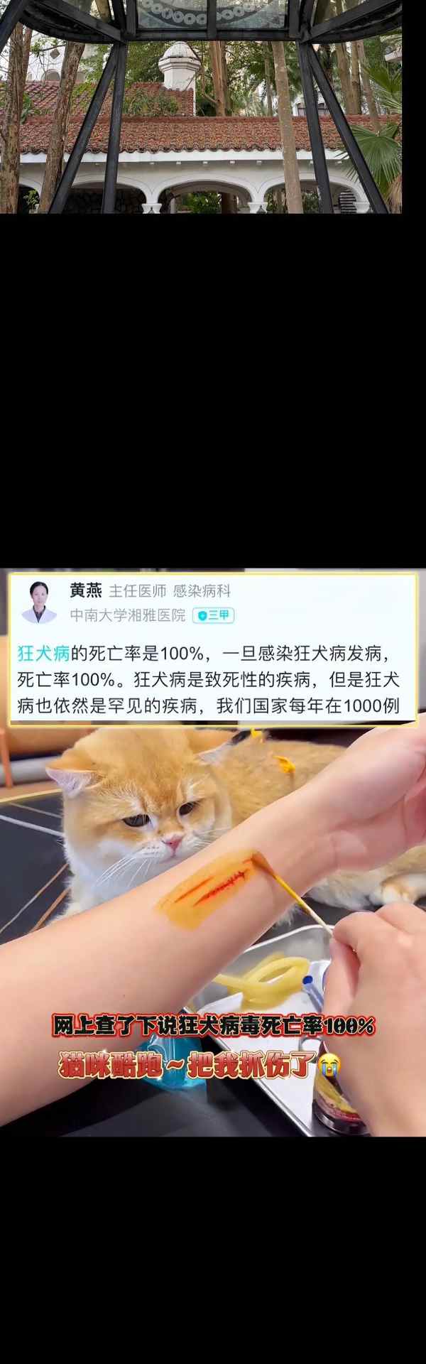 狗狗疫苗接种指南（打疫苗前后应注意的重要手续）(图2)