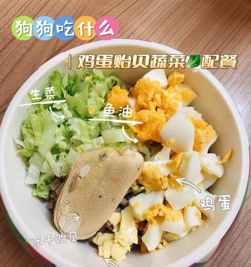 狗狗的饮食营养指南（探究狗狗每周应食用的营养食物）(图3)