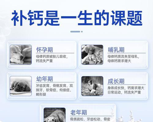 为什么给狗狗补充钙片很重要？（探索狗狗补充钙片的好处及适用情 - 新生家伴