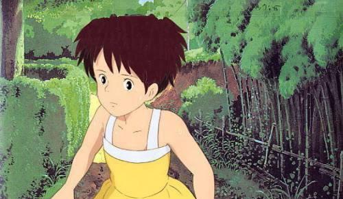 龙猫抗生素(探索龙猫使用抗生素的必要性及安全性)(图2) 龙猫抗生素(探索龙猫使用抗生素的必要性及安全性)(图2)