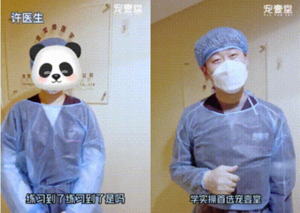 1月26日【重庆】(第125期)丨犬猫外