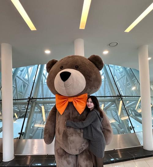 超级大的泰迪叫什么名字？（探索大型泰迪犬的命名之谜）(图1)