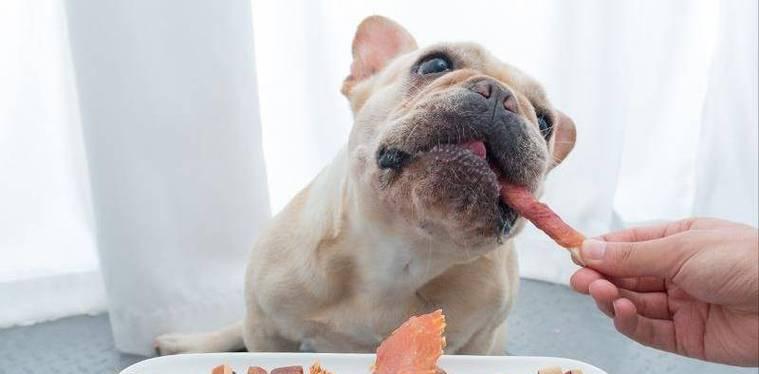 没满月的狗能吃些什么？（了解适合没满月狗狗的饮食需求和食谱） - 新生家伴