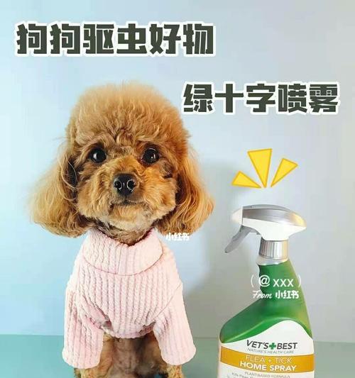 狗狗拉绿便的治疗方法及药物推荐（解决狗狗拉绿便的最佳药物选择与常见原因分析）(图1)