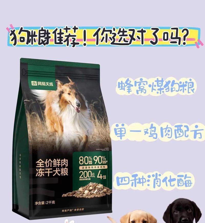 狗胃消化不好怎么办？有效食物推荐（改善狗狗胃部健康，让它吃得舒心愉快）(图2)