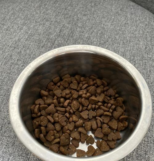 泰迪狗狗的饮食需求与健康管理（以泰迪生了狗狗吃什么？如何合理安排饮食？）(图2)