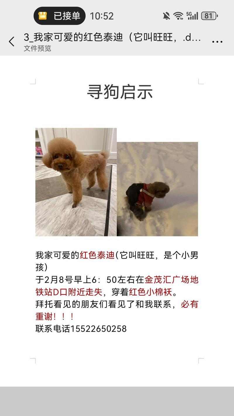 如何寻回丢失的狗狗（通过以下关键步骤，让你的狗狗重返温暖的怀抱）(图1)