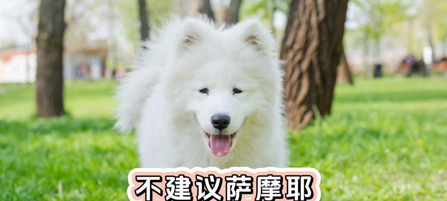 为什么狗不能吃人？（探究狗不能吃人的原因及影响）(图3)