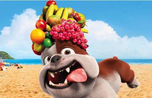 为什么狗不能吃人？（探究狗不能吃人的原因及影响）(图1)