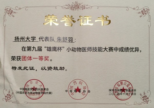 赛学双优‼️这个团队全员保研(图18)