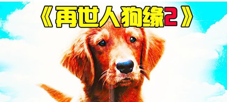 以狗出生的人的好处（狗年出生人的特点及影响）(图2)