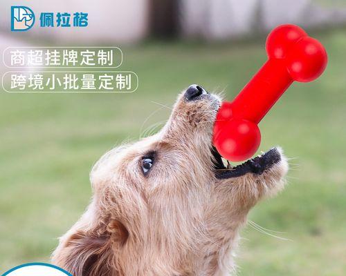 狗狗玩具的好处（让宠物更快乐、健康和聪明）(图3)