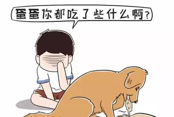为什么狗狗一直想吐？（探究狗狗频繁呕吐的原因及应对方法）(图1)