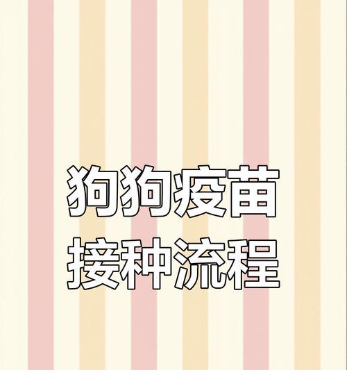 狗狗打疫苗需要注意的反应及预防措施（确保狗狗安全健康的免疫注射关键）(图2)