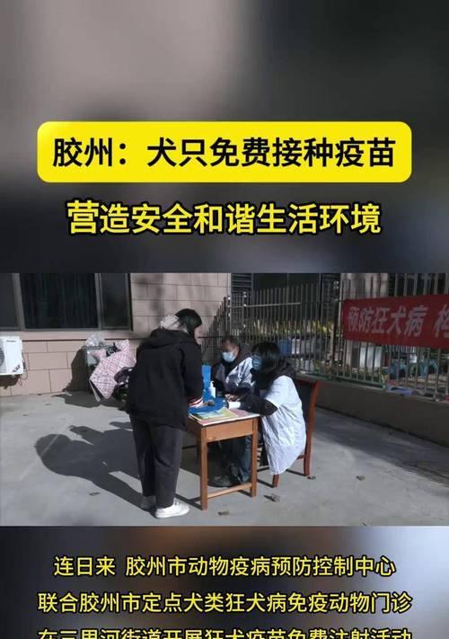 狗狗打疫苗需要注意的反应及预防措施（确保狗狗安全健康的免疫注射关键）(图3)