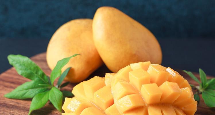 泰迪宝宝的健康饮食（为宠物泰迪提供营养丰富的水果，让它快乐成长）(图3)