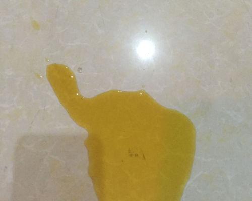 狗狗尿液的颜色对健康的影响（了解狗狗尿液颜色的重要性及其健康暗示）(图3)