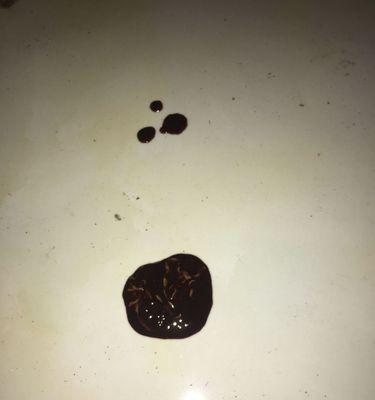 狗狗尿液的颜色对健康的影响（了解狗狗尿液颜色的重要性及其健康 - 新生家伴