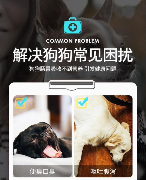 博美牙齿发黄还口臭的原因及解决方法(博美牙齿失去光泽,口气难闻的问题该如何解决?)(图2) 博美牙齿发黄还口臭的原因及解决方法(博美牙齿失去光泽,口气难闻的问题该如何解决?)(图2)