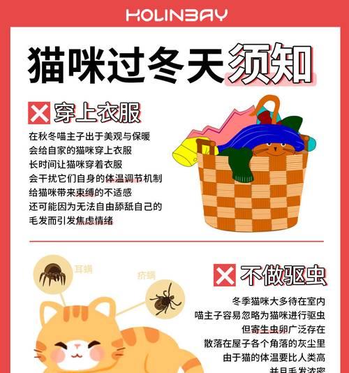 猫的驱虫时机与注意事项（了解猫的驱虫周期