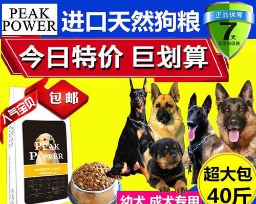 小马犬的饮食禁忌（切勿喂食以下食物，保护你的小马犬健康）(图3)