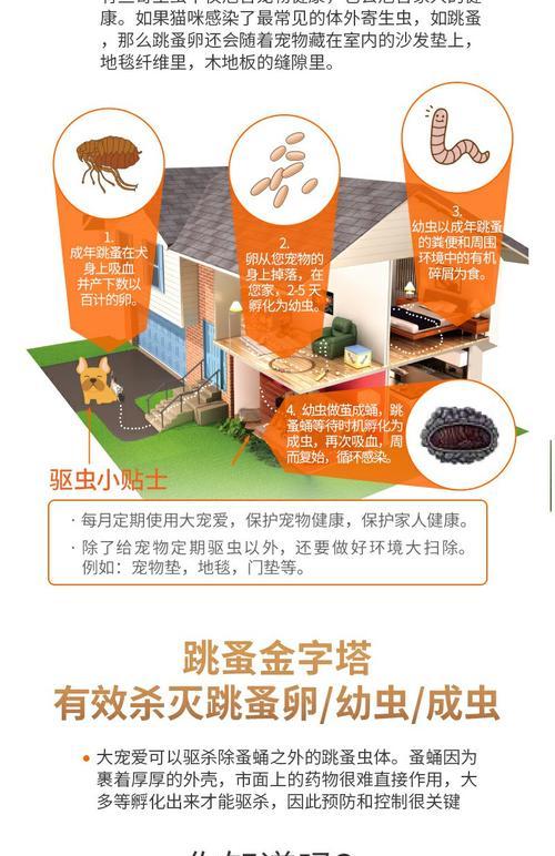 猫驱虫药的见效时间及(了解猫驱虫药见效的时间及其重要性)(图1) 猫驱虫药的见效时间及(了解猫驱虫药见效的时间及其重要性)(图1)