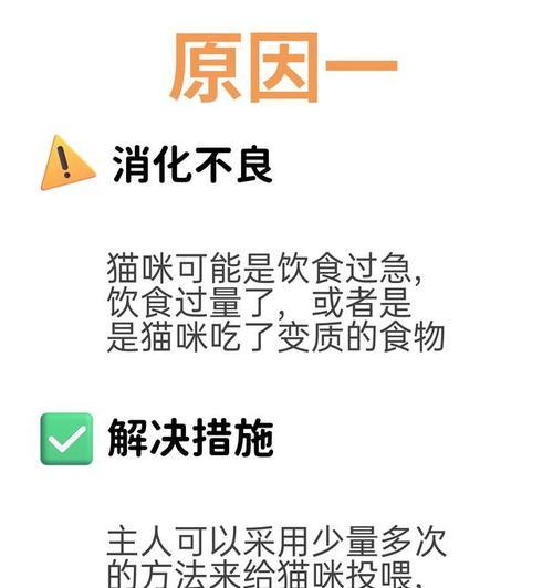 猫的饮食健康秘密（探索猫一天吐一次吃什么的真相） - 新生家伴