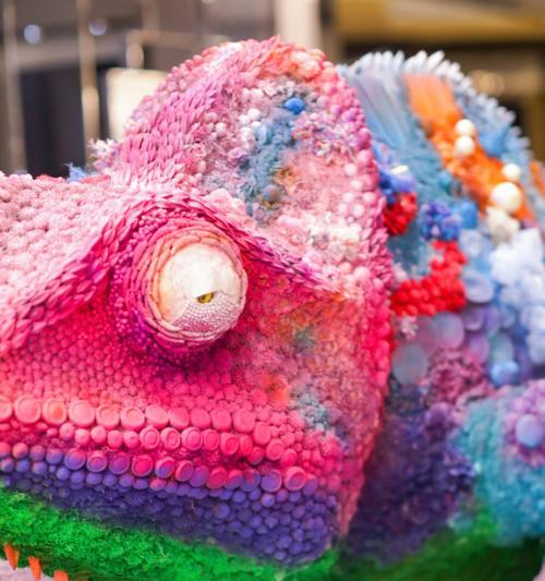 探秘高冠变色（高冠变色的食物喜好与健康益处）(图1)