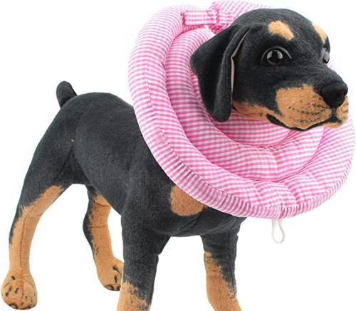 如何选择适合狗狗的舒适项圈（以狗狗舒适为主，给它一个舒适的项圈）(图1)