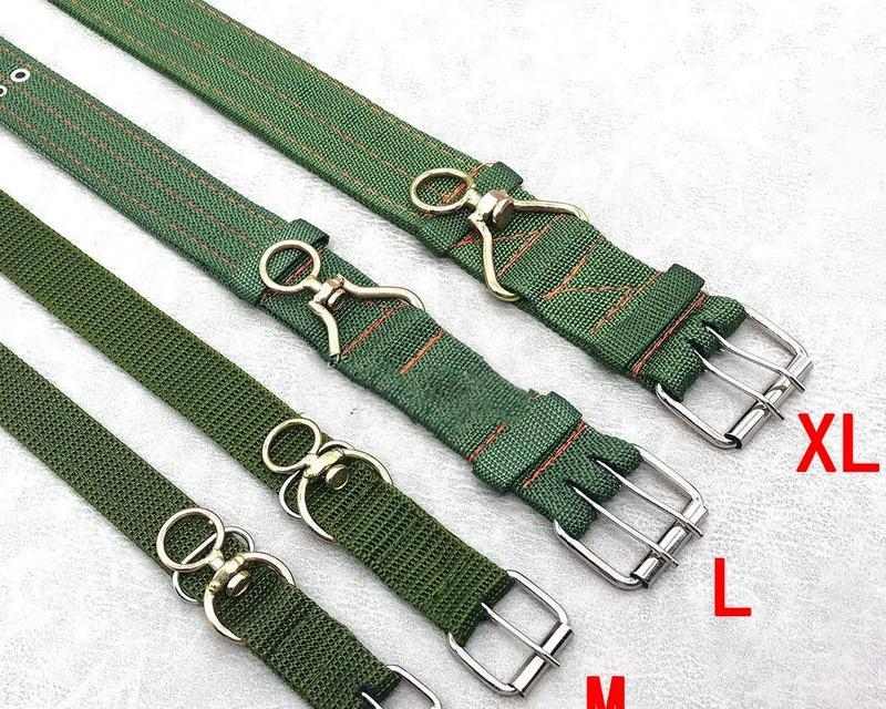 如何选择适合狗狗的舒适项圈（以狗狗舒适为主，给它一个舒适的项圈）(图3)