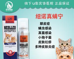 狗狗湿性皮炎的治疗药物解析（药物选择的关键因素及治疗效果分析） - 新生家伴