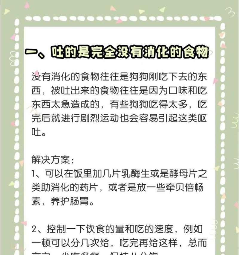狗夏天呕吐的原因及预防方法(探究狗夏天呕吐的原因,帮助狗主预防问题)(图3) 狗夏天呕吐的原因及预防方法(探究狗夏天呕吐的原因,帮助狗主预防问题)(图3)