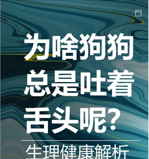 狗夏天呕吐的原因及预防方法(探究狗夏天呕吐的原因,帮助狗主预防问题)(图2) 狗夏天呕吐的原因及预防方法(探究狗夏天呕吐的原因,帮助狗主预防问题)(图2)