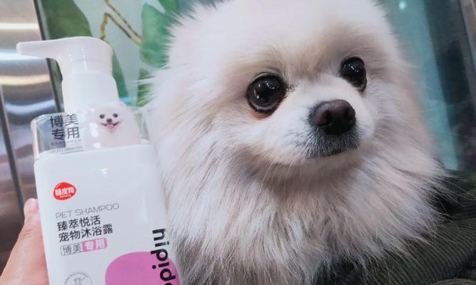 小博美的洗澡日常（一起来了解如何给小博美洗澡吧！） - 新生家伴