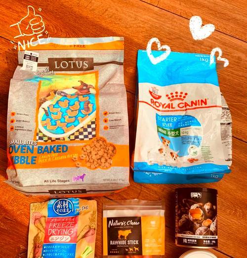 如何正确照顾3个月幼犬的比熊?(注意事项和关键提示,助你成为贴心的幼犬主人)(图2) 如何正确照顾3个月幼犬的比熊?(注意事项和关键提示,助你成为贴心的幼犬主人)(图2)