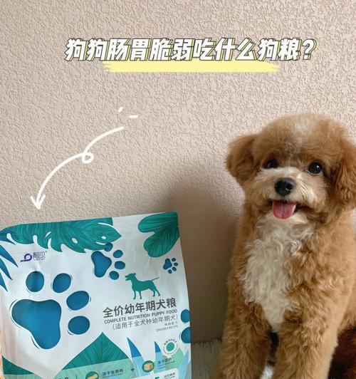 狗狗刚出生吃什么奶粉？（了解狗狗出生后的营养需求，选择合适的奶粉。） - 新生家伴