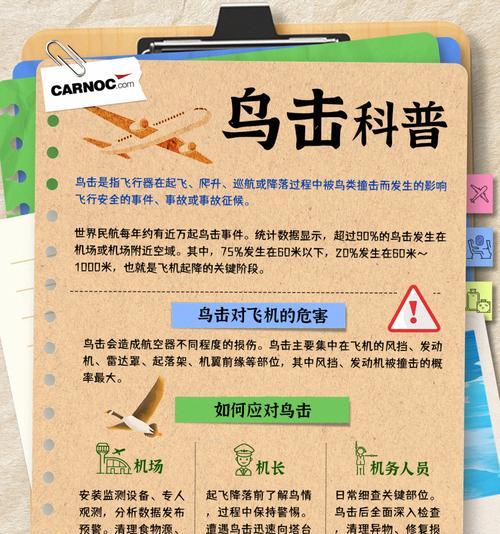 鸟儿带来的危害（候鸟迁徙现象及其对环境、农作物和人类健康的潜在影响） - 新生家伴