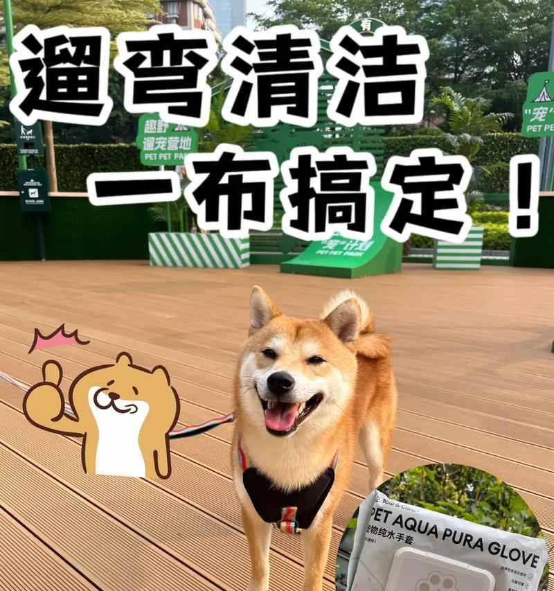 如何正确清洁狗狗屁股？（五步教你给宠物狗清洁屁股） - 新生家伴