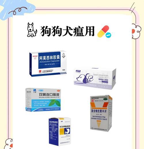 狗狗感冒应该如何治疗？（细小犬瘟是否是感冒的症状？应该如何辨别？）(图1)