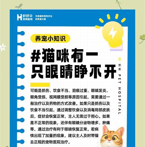 猫的眼睛清洁之道(了解猫眼清洁的重要性及正确方法)(图3) 猫的眼睛清洁之道(了解猫眼清洁的重要性及正确方法)(图3)