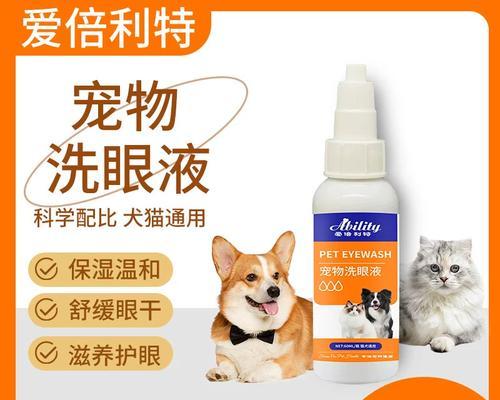 猫的眼睛清洁之道（了解猫眼清洁的重要性及正确方法） - 新生家伴