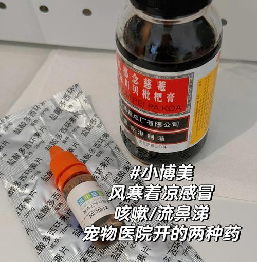 狗狗感冒应该如何治疗？（细小犬瘟是否是感冒的症状？应该如何辨别？）(图3)