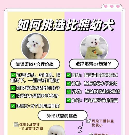 比熊四个月多久驱虫？（宠物狗常规驱虫时间及注意事项）(图2)