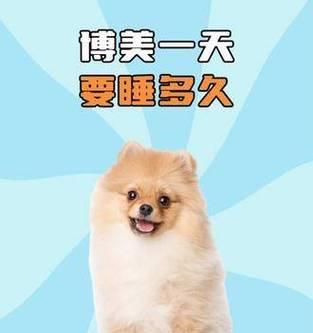 宠物狗一天应该睡多久?(狗狗的合适睡眠时长和重要性)(图3) 宠物狗一天应该睡多久?(狗狗的合适睡眠时长和重要性)(图3)