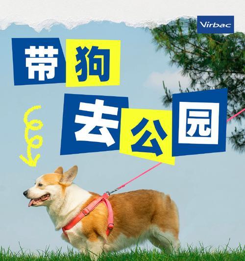 小狗驱虫的最佳时间选择（宠物养护必备，健康从小开始）(图1)