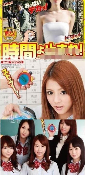 赫曼陆龟饲养全攻略（赫曼陆龟饲养注意事项及建议）(图2)