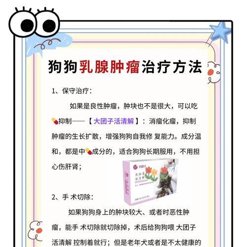 狗狗乳腺肿瘤的饮食管理（探索适合狗狗乳腺肿瘤患者的健康食谱）(图1)