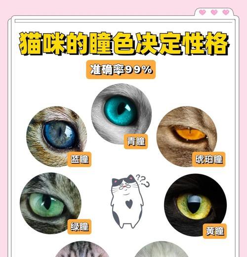 猫咪性格特征大揭秘（探寻猫咪的天性与行为习性，让你更了解你的小伙伴）(图2)