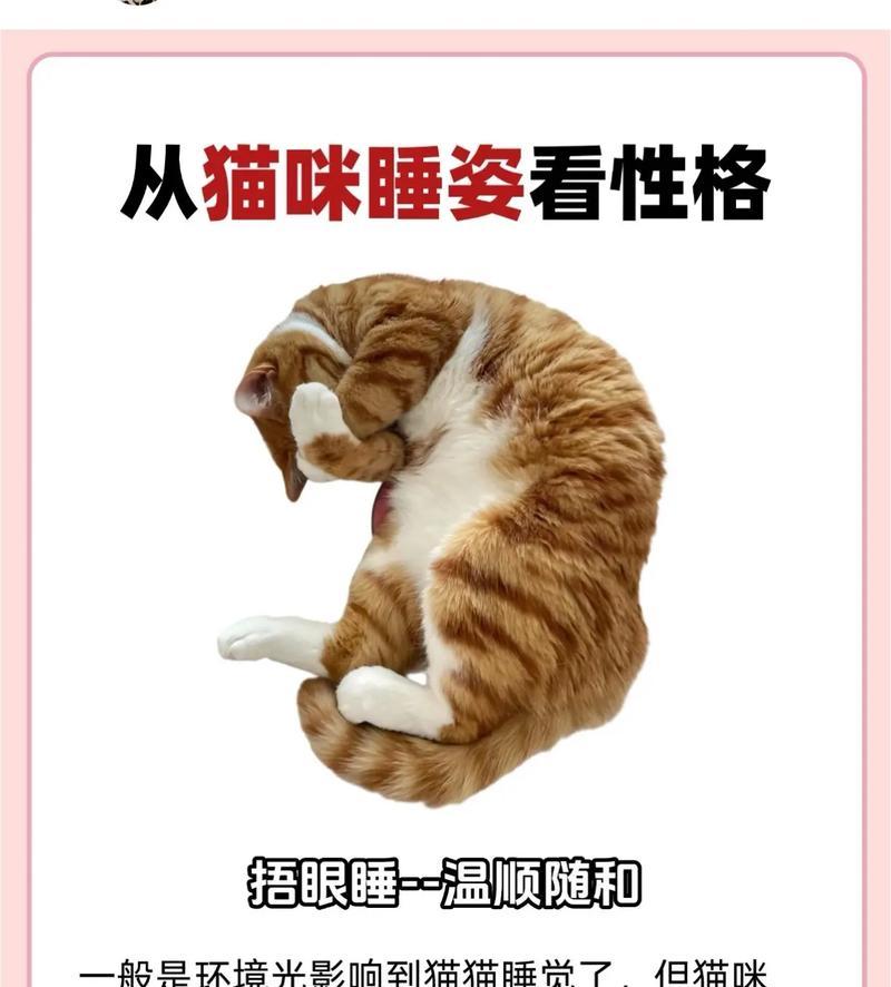 猫咪性格特征大揭秘（探寻猫咪的天性与行为习性，让你更了解你的小伙伴）(图1)