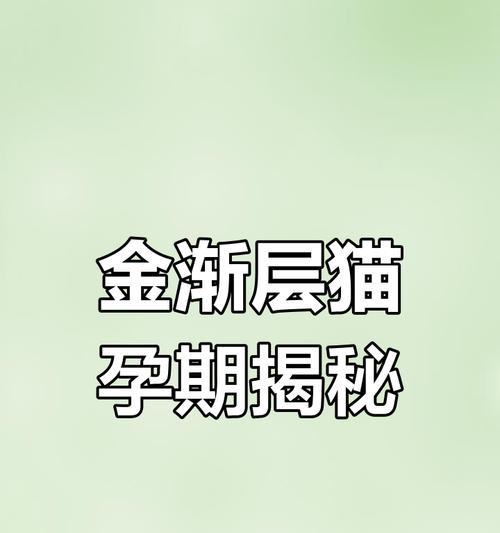 猫咪怀孕多久能生(猫咪妊娠周期及注意事项)(图3) 猫咪怀孕多久能生(猫咪妊娠周期及注意事项)(图3)